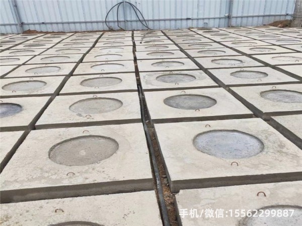 若羌DP16混凝土电杆底盘